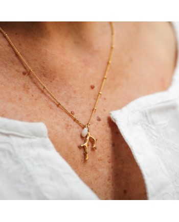 Collier plaqué Or et médaille interchangeable