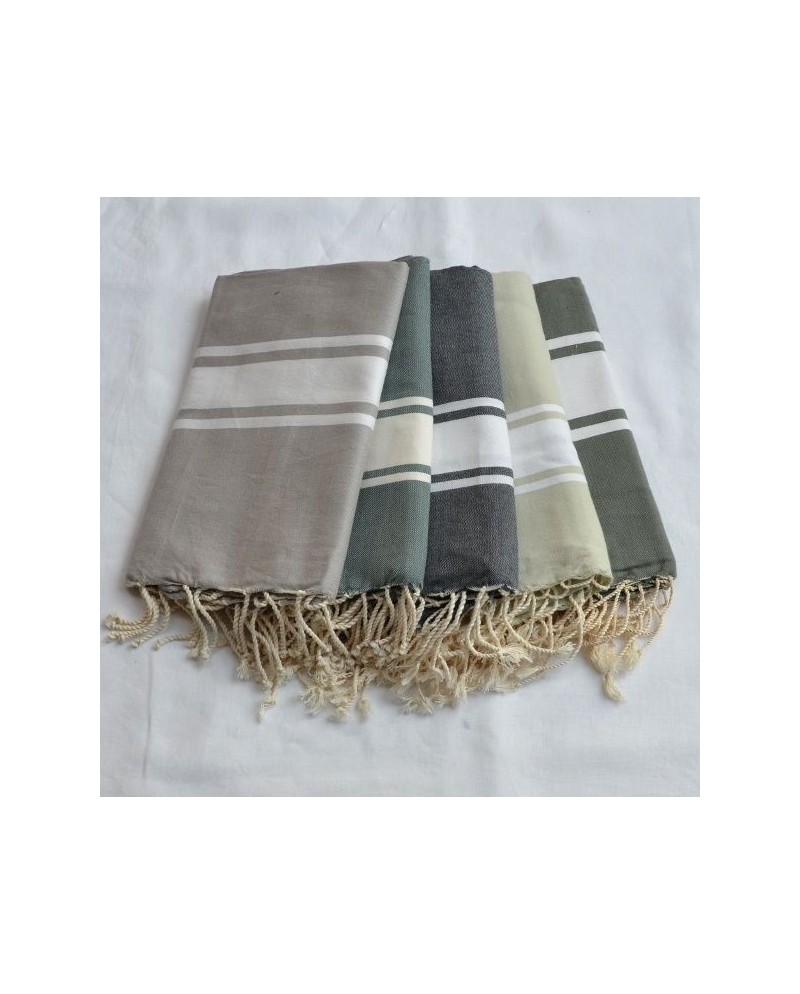 gamme de foutas grises